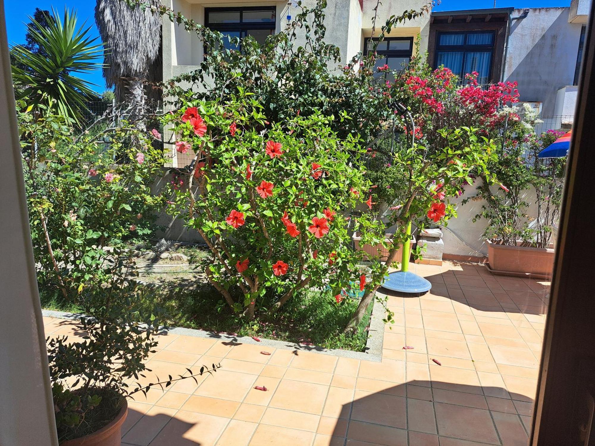 Casa Di Paolo E Roberta Bed & Breakfast Санта Тереза Галура Екстериор снимка